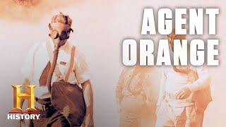 What Is Agent Orange  History [upl. by Bourn]