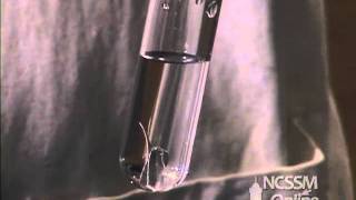 Reaction of Magnesium and Water [upl. by Ariad]