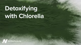 Detoxifying with Chlorella [upl. by Casilde225]