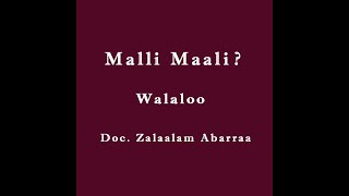 Malli Maali  Dr Zalaalam Abarraa Walaloo [upl. by Silvana531]