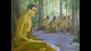 dhamma chakka pavattana sutta [upl. by Kiryt]