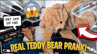 Hilarious Giant Teddy Bear Comes To Life Scare Prank On Boyfriend [upl. by Georgeta875]