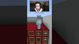 WALLIBEAR TAKES ON MOB ARENA gaming ⁠youtube funny minecraft memes tiktok shorts ytshorts [upl. by Aissak142]