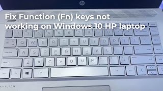 FIX Function Fn keys not working on Windows 10 HP laptop [upl. by Schweitzer]