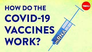 How the COVID19 vaccines were created so quickly  Kaitlyn Sadtler and Elizabeth Wayne [upl. by Farrison]