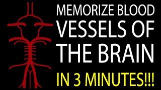 MNEMONIC Brains Blood Supply MEMORIZE in 3 Minutes [upl. by Yecart118]