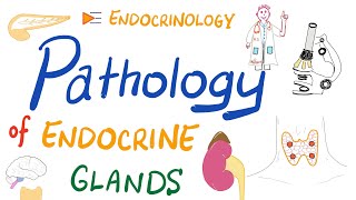 Pathology Basics of Endocrinology [upl. by Nylekcaj383]