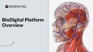 Facial Skeleton  Skull Anatomy [upl. by Aleyak]