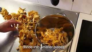 How to cook chanterelles Lets follow quotThe Chanterelle Kingquot [upl. by Leod862]