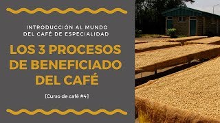 Los 3 procesos de beneficiado del café explicados Lección 47 [upl. by Notrem]