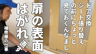 【建具補修】建具・ドア・扉の表面の剥がれをリペア・補修で直してみました！ [upl. by Huan]