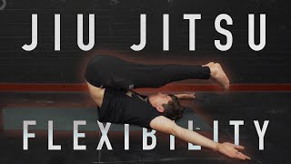 30 Minute Jiu Jitsu BJJ Flexibility Routine FOLLOW ALONG [upl. by Rotciv]