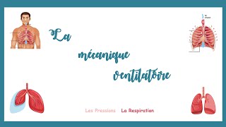 La mécanique ventilatoire la mécanique de la respirationPressions respirationPhysiologie [upl. by Enellek]