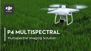 P4 Multispectral  Multispectral Imaging Drone Solution [upl. by Silohcin329]