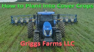 How to Plant into Cover Crops 4K [upl. by Arlina]