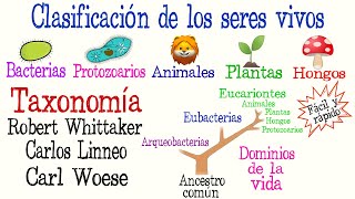 🌿5 Reinos y 3 Dominios de la Vida🐠  Clasificación de los seres vivos Fácil y Rápido  BIOLOGÍA [upl. by Claudianus]