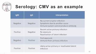 EBV Diagnostics [upl. by Shimberg]