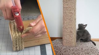 DIY Cat Scratching Post [upl. by Aihsikal]