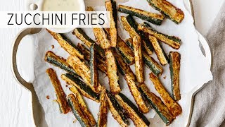 ZUCCHINI FRIES  glutenfree lowcarb keto [upl. by Oiramal]