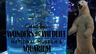 Wonders of Wildlife Aquarium amp Museum Tour amp Review with The Legend [upl. by Kina376]