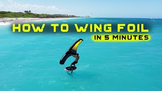 How to WING FOIL in 5 minutes [upl. by Anirroc]