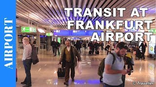 TRANSIT WALK AT FRANKFURT Airport FRA Terminal 1  Connection Flight Transfer Arriving amp Departing [upl. by Packton]