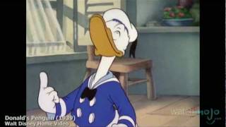 The History of Donald Duck [upl. by Ardene]