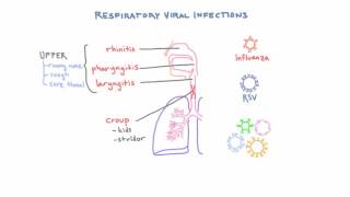 Respiratory Viruses  Clinical Presentations and Diagnosis [upl. by Ellehcsor136]