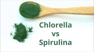 Chlorella vs Spirulina – Which is Best [upl. by Einaej881]