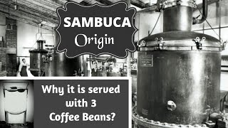 Sambuca  Why Sambuca is served with Coffee Bean [upl. by Toby]