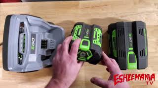 EGO Battery Info How To Estimate When You Will Need To Replace The Battery amp More [upl. by Alicec928]