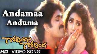 Govinda Govinda Movie  Andamaa Anduma Video Song  Nagarjuna  Sridevi  shalimarcinema [upl. by Gnilrits]