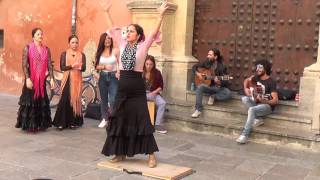 Flamenco dance 1 in Granada 2015 [upl. by Huba]