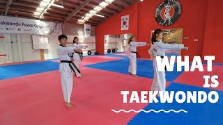 What is Taekwondo [upl. by Sterling]