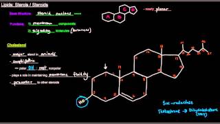 Lipids Part 11 of 11  Sterols  Steroids [upl. by Eckhardt]