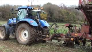 Harvesting Fodder beetTour of the harvester [upl. by Fine]