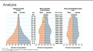 Population Pyramids and Demographic Transition [upl. by Kreindler]