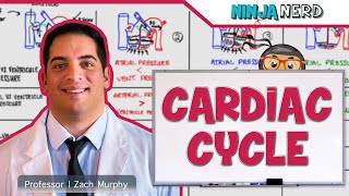 Cardiovascular  Cardiac Cycle [upl. by Fretwell]