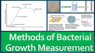 Growth Measurement Methods [upl. by Mccoy858]