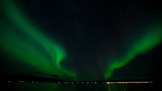 🔴10 HOURS Aurora Borealis Green Northern Lights Relaxation binaural Sleep study relaxing music🔴 [upl. by Monroe]