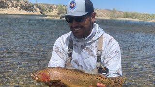 Green River Wyoming Fly Fishing Roam and Reel HD 1080p [upl. by Tressa919]