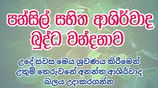 පන්සිල් සහිත ආශිර්වාද බුද්ධ වන්දනාව  BUDHDHA WANDANAWA  DAMDIYA TV [upl. by Ahsienom]