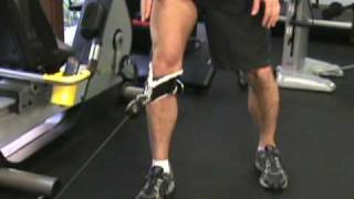 VMO Exercises  Vastus Medialis Cable Technique [upl. by Genevra]