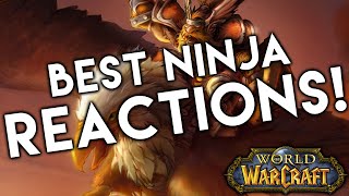 5 BEST Ninja Loot Reactions in World of Warcraft [upl. by Einot411]