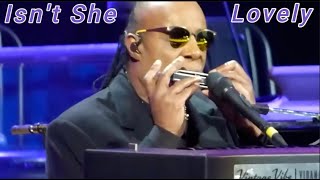 Stevie Wonder  quot ISNT SHE LOVELY quot Live INDY [upl. by Haas213]