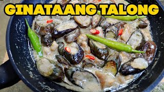 GINATAANG TALONG  Eggplant with Coconut Milk [upl. by Atin]