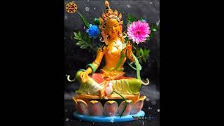 Tara Prayer  Tibetan Buddhist Prayer  Buddhist prayer  Melodious Dharma Sound [upl. by Ashford]