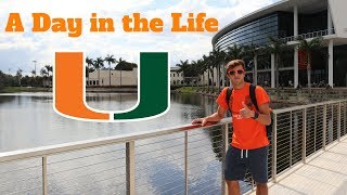 A DAY IN THE LIFE AT THE UNIVERSITY OF MIAMI [upl. by Maunsell280]