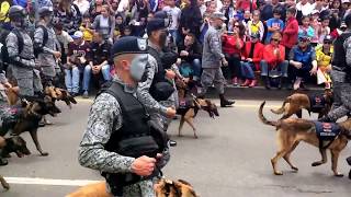 desfile 20 de julio 2017  Bogotá 🇨🇴 parte 3 [upl. by Yasmar546]