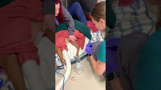 Canine lateral saphenous venipuncture [upl. by Niarfe]